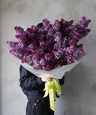 АРОМАТ СИРЕНИ