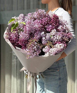 АПРЕЛЬСКАЯ СИРЕНЬ